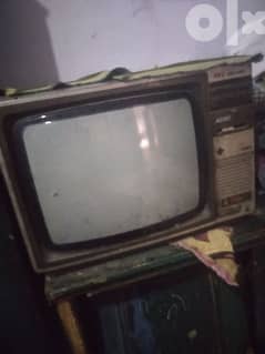 تلفزيون